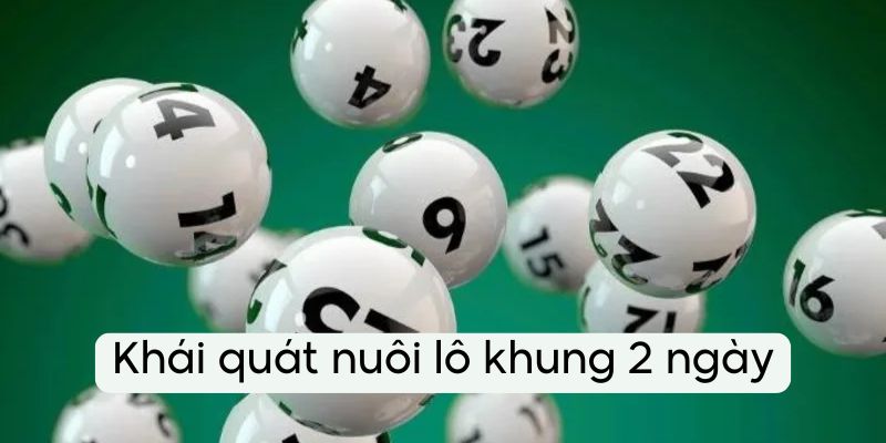 Giải thích chi tiết về cách chơi nuôi lô khung 2 ngày dễ hiểu